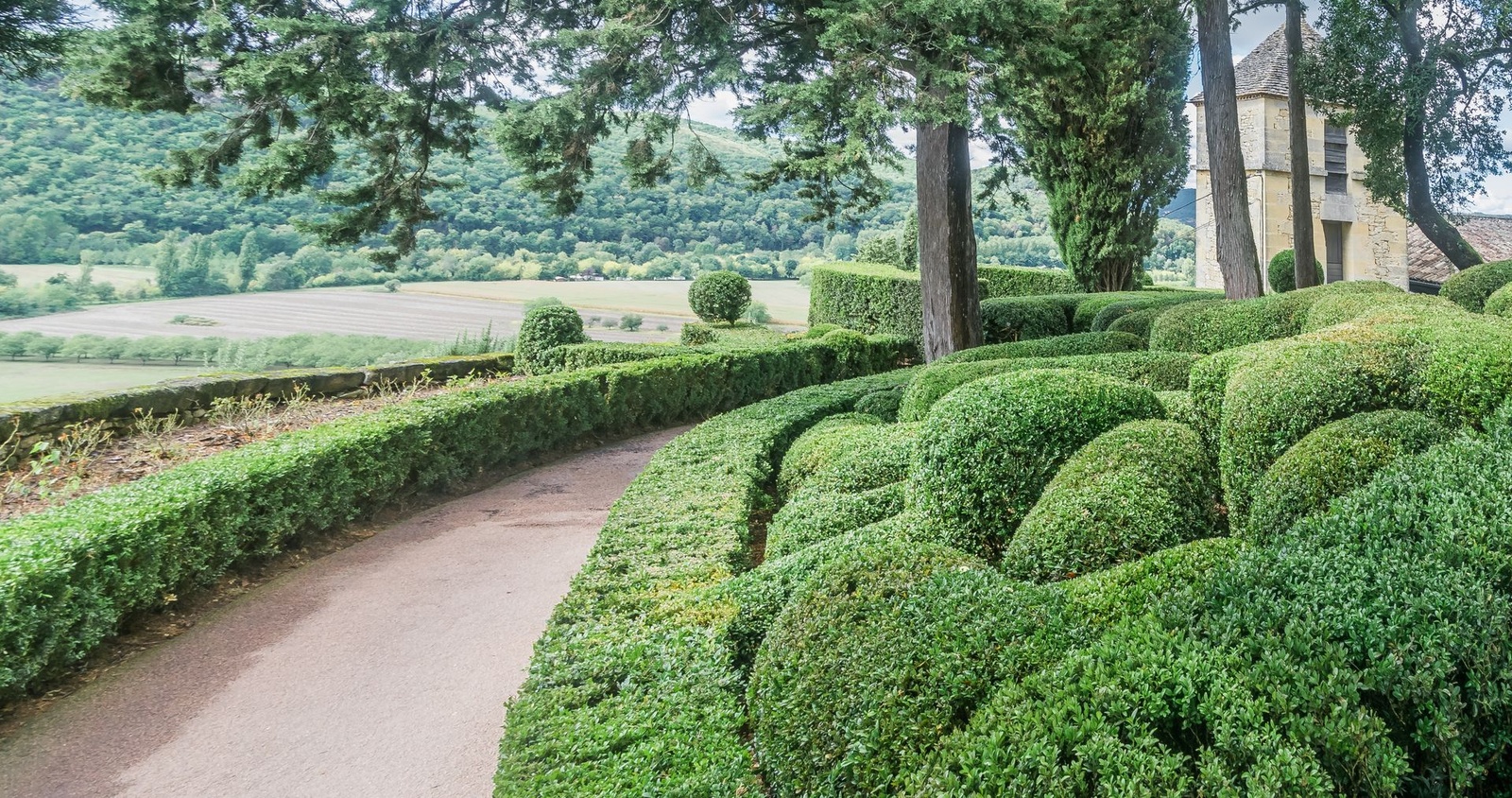 Une allée entre les buis sculptés des jardins de Marqueyssac, avec vue sur la vallée