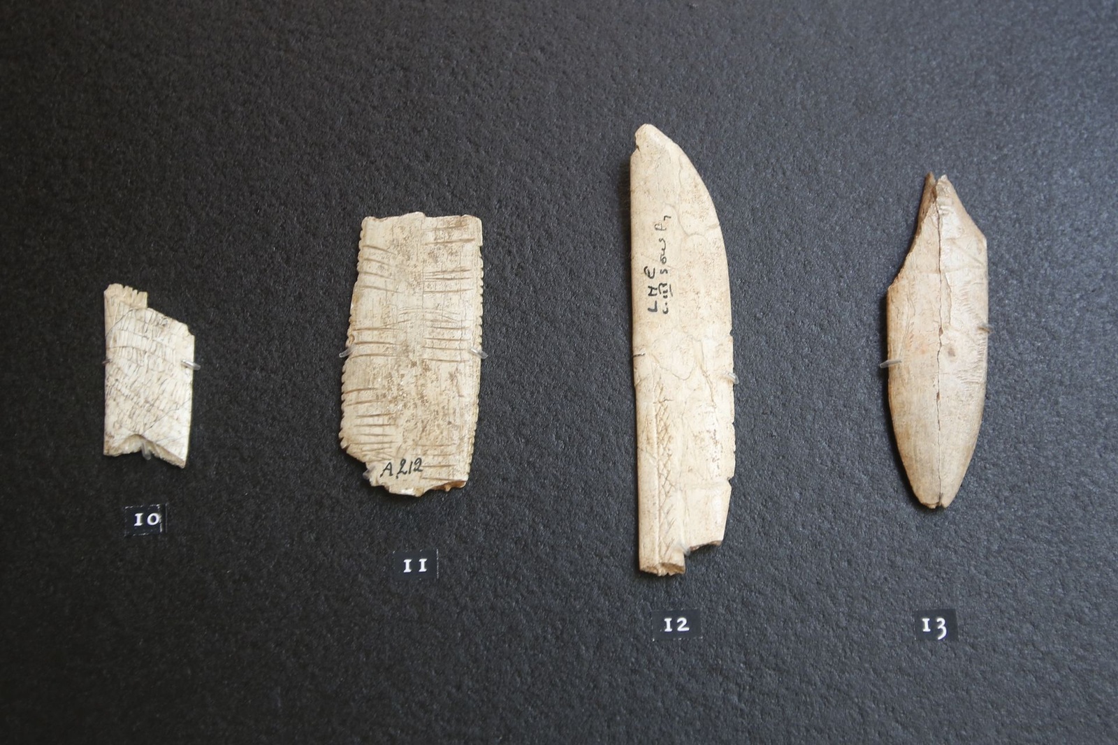 Quatre fragments de lissoirs décorés du Magdalénien présentés au Musée national de Préhistoire